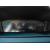 2387608_04.jpg #psunion