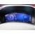 2396277_17.jpg #psunion