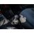 2444281_15.jpg #psunion