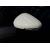2584638_18.jpg #psunion