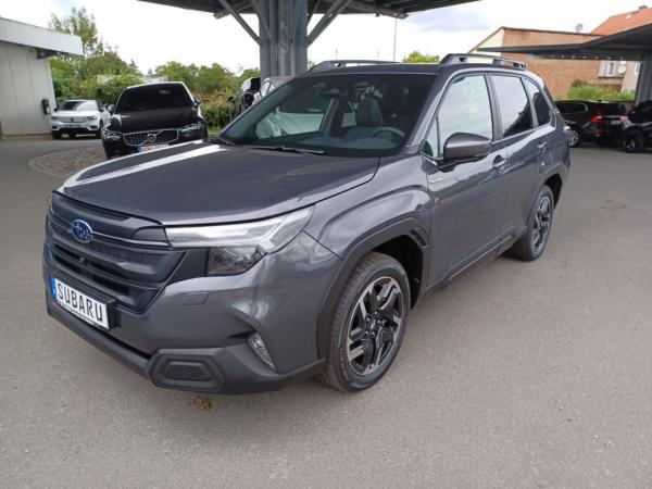 2381473_16.jpg #psunion