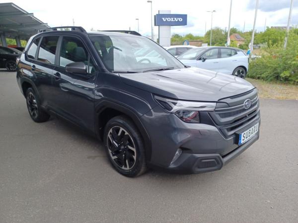 2381473_19.jpg #psunion