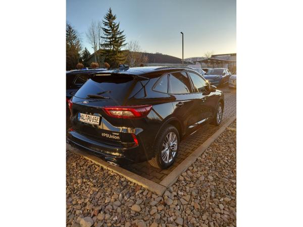 2390835_02.jpg #psunion