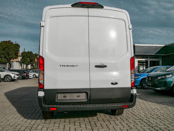 2395431_12.jpg #psunion