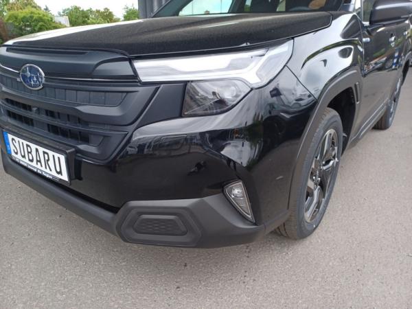 2408165_27.jpg #psunion