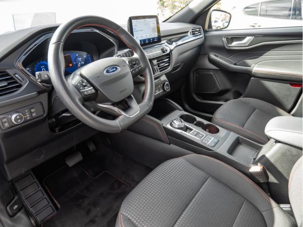 2443416_11.jpg #psunion