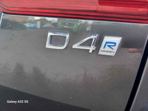2443817_11.jpg #psunion