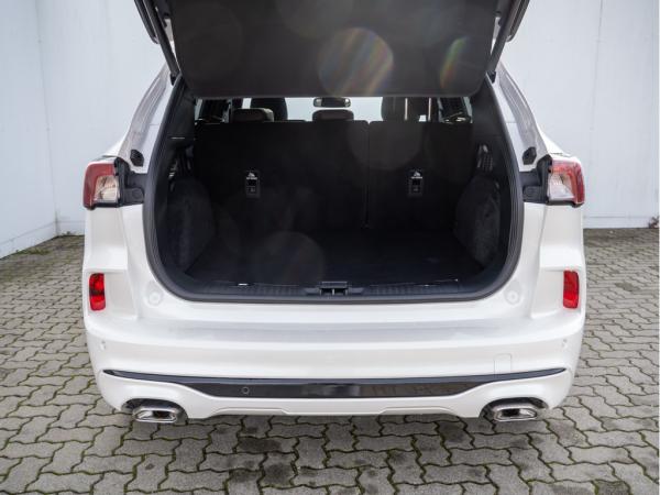 2444410_06.jpg #psunion