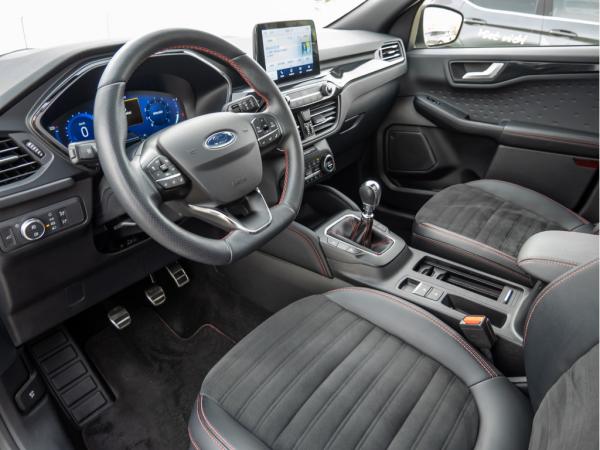 2444410_11.jpg #psunion