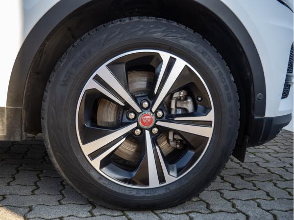 2483227_08.jpg #psunion