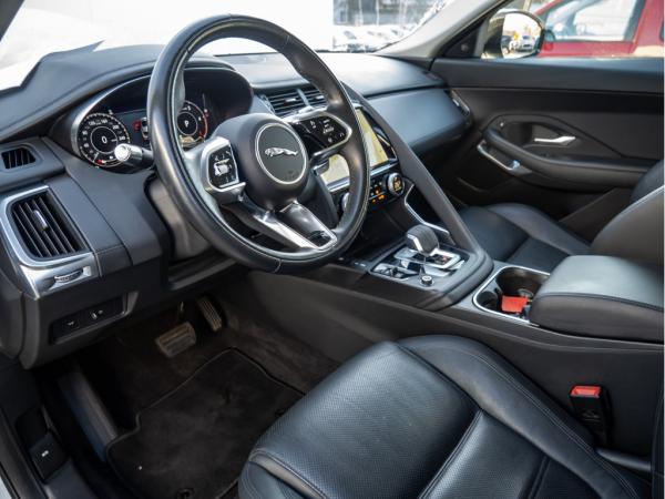 2483227_10.jpg #psunion