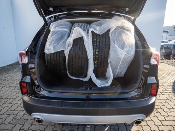 2491459_06.jpg #psunion