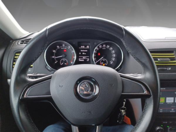 2507998_12.jpg #psunion