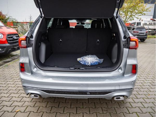 2509996_06.jpg #psunion