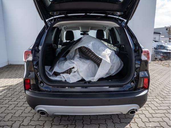 2516141_06.jpg #psunion