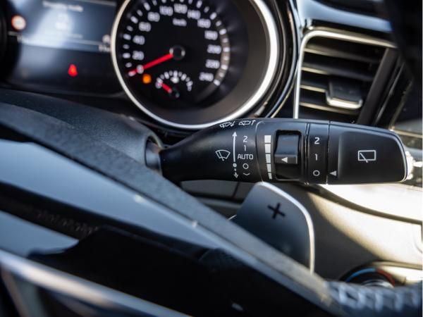 2516407_20.jpg #psunion