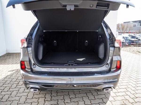 2517331_06.jpg #psunion