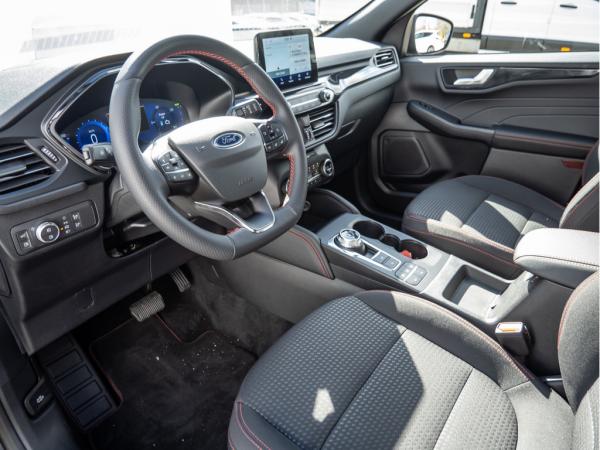 2517331_11.jpg #psunion